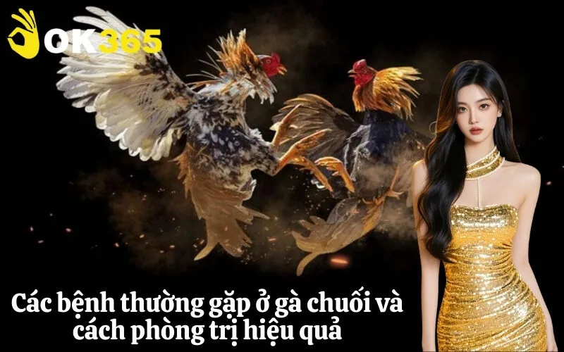 Các bệnh thường gặp ở gà chuối và cách phòng trị hiệu quả