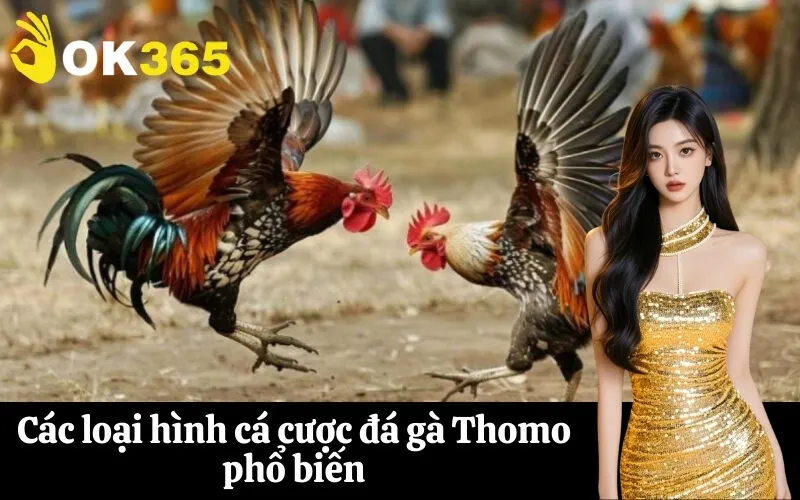 Các loại hình cá cược đá gà Thomo phổ biến