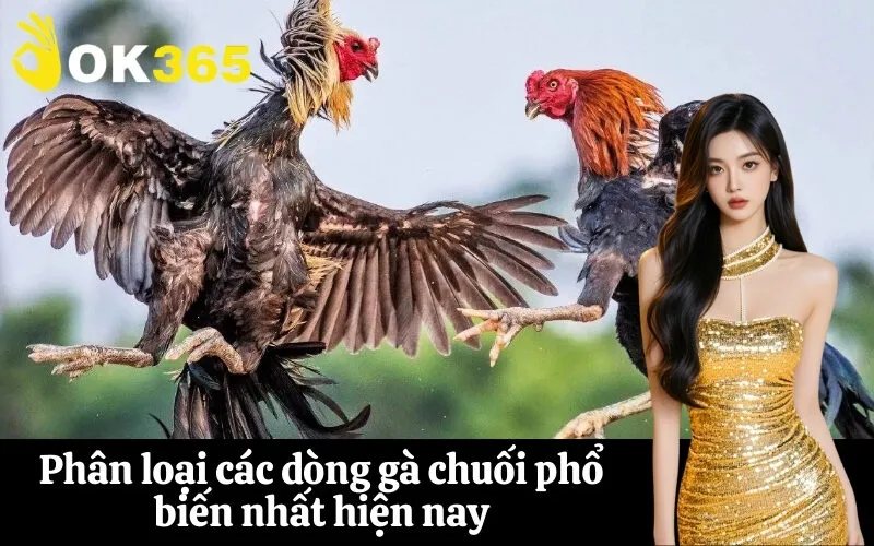 Phân loại các dòng gà chuối phổ biến nhất hiện nay